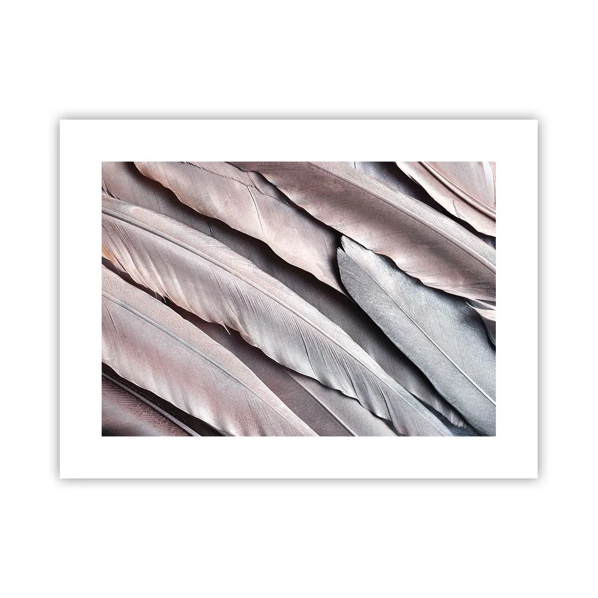 Poster - In roze zilver - 40x30 cm