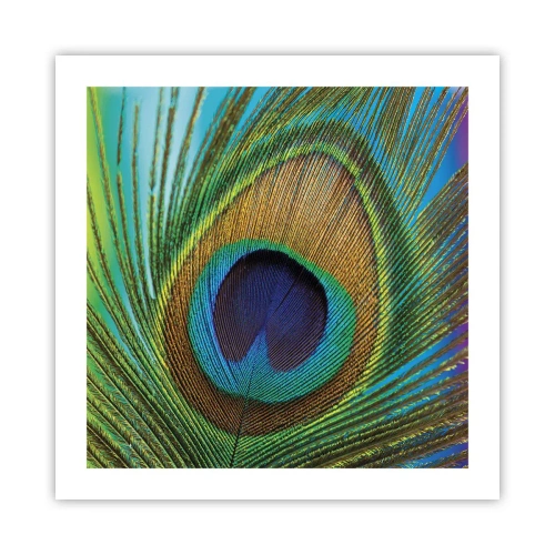Poster - Oog in oog - 50x50 cm