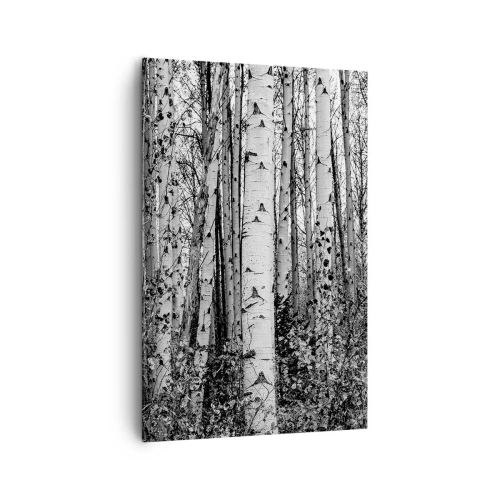 Schilderen op canvas - Berken colonnade - 80x120 cm