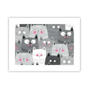 Poster - De wereld van de kat - 40x30 cm