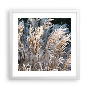 Poster in een witte lijst - Gekleed met vorst - 40x40 cm