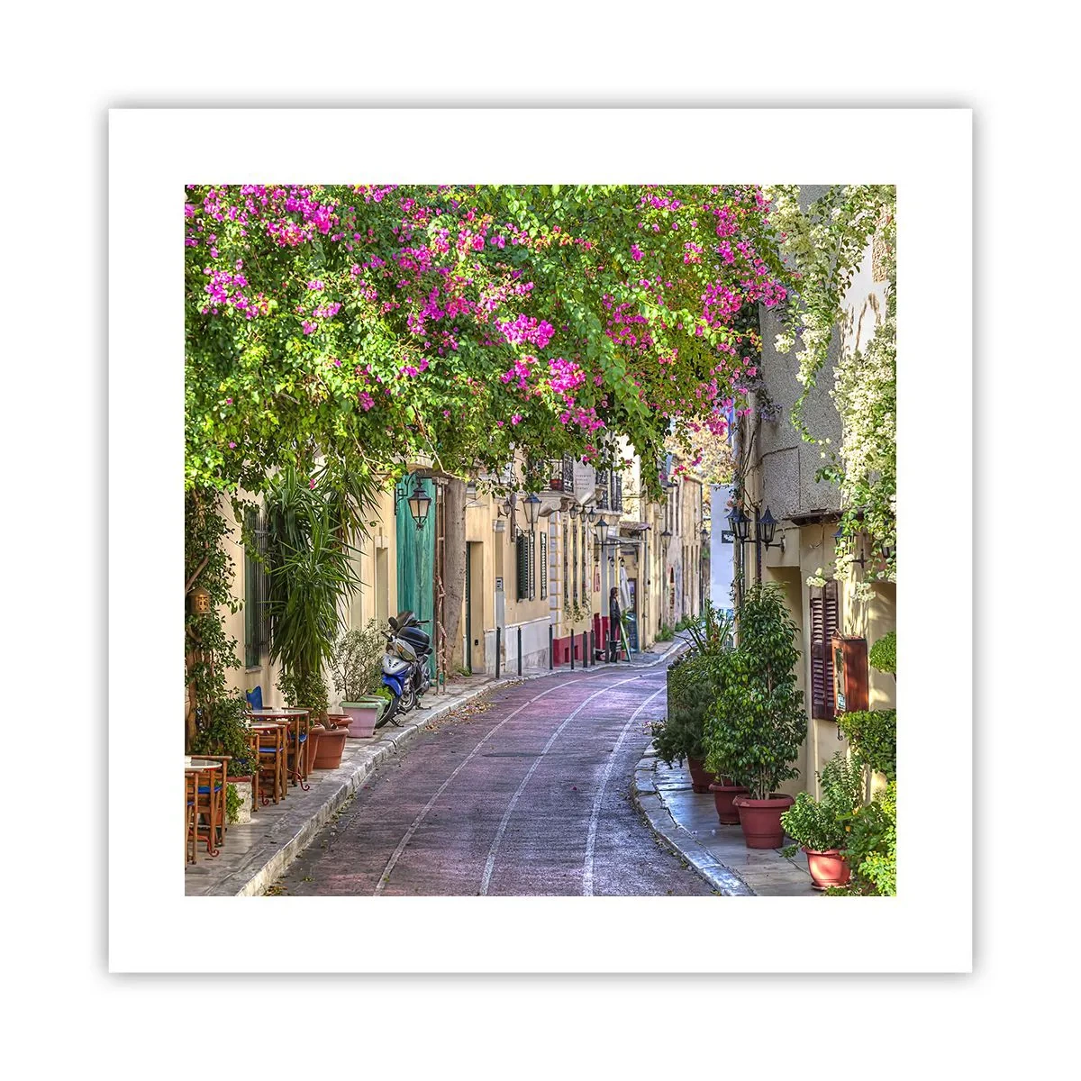 Poster - Bloeiende steeg - 40x40 cm