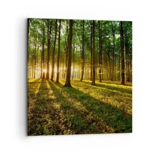 Schilderen op canvas - Foto van de hele lente - 70x70 cm