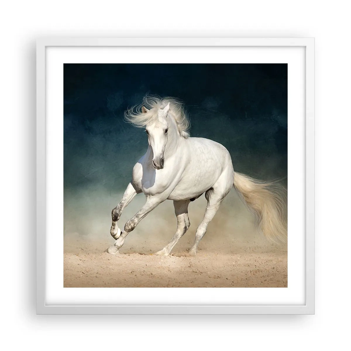 Poster in een witte lijst - Vrijheid in zijn pure staat - 50x50 cm