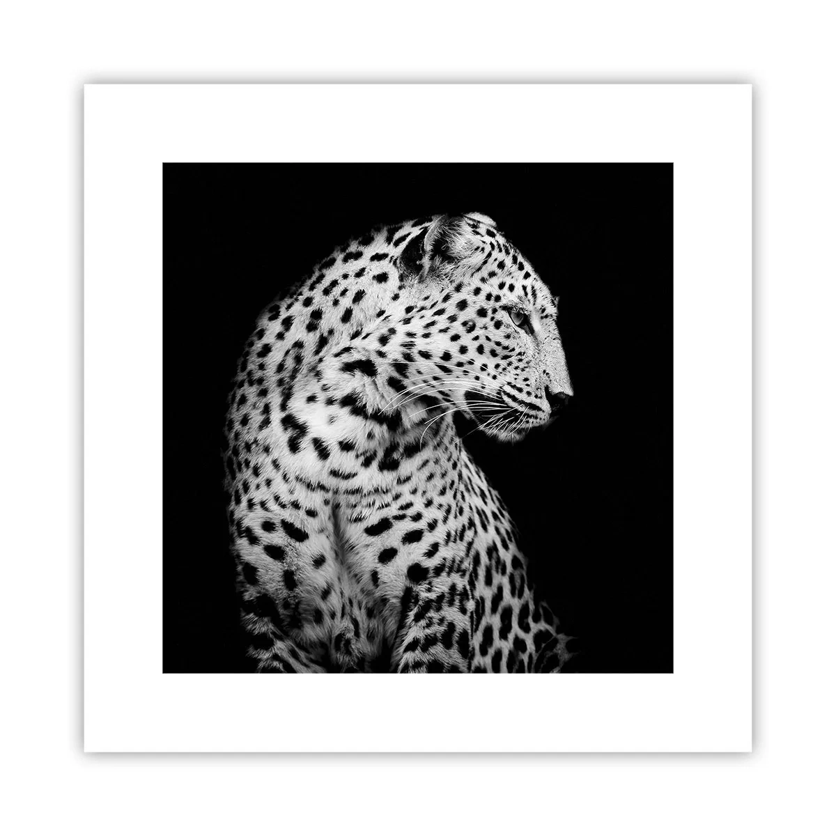 Poster - Juist profiel perfect! - 30x30 cm