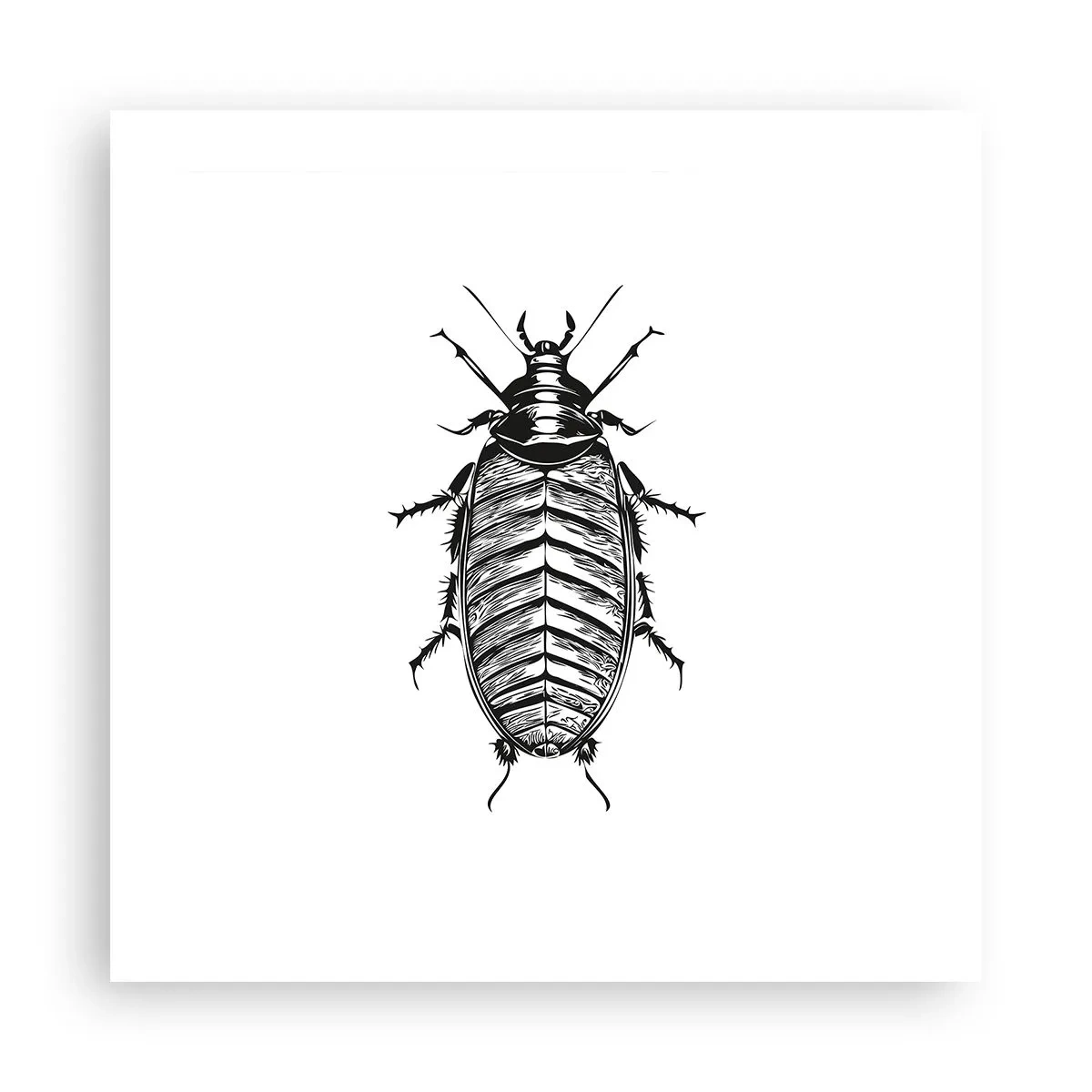 Poster - Wat een exemplaar! - 50x50 cm