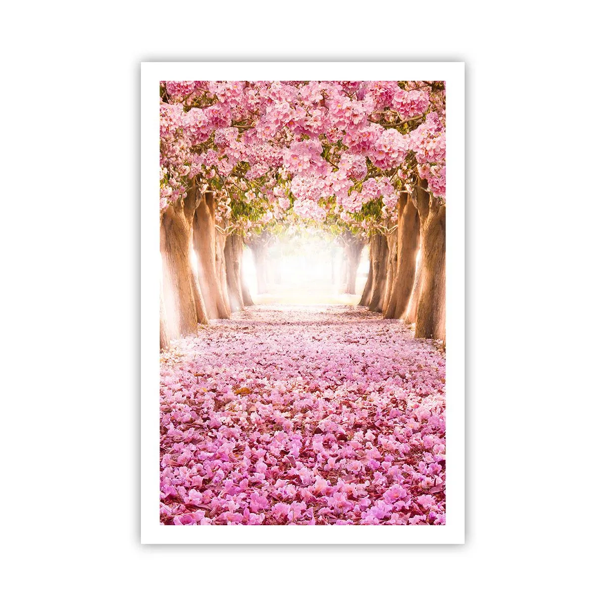 Poster - De weg naar het paradijs - 61x91 cm
