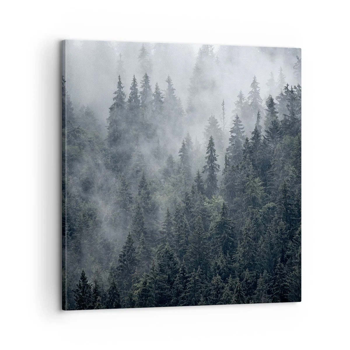 Schilderen op canvas - Bos dageraad - 60x60 cm