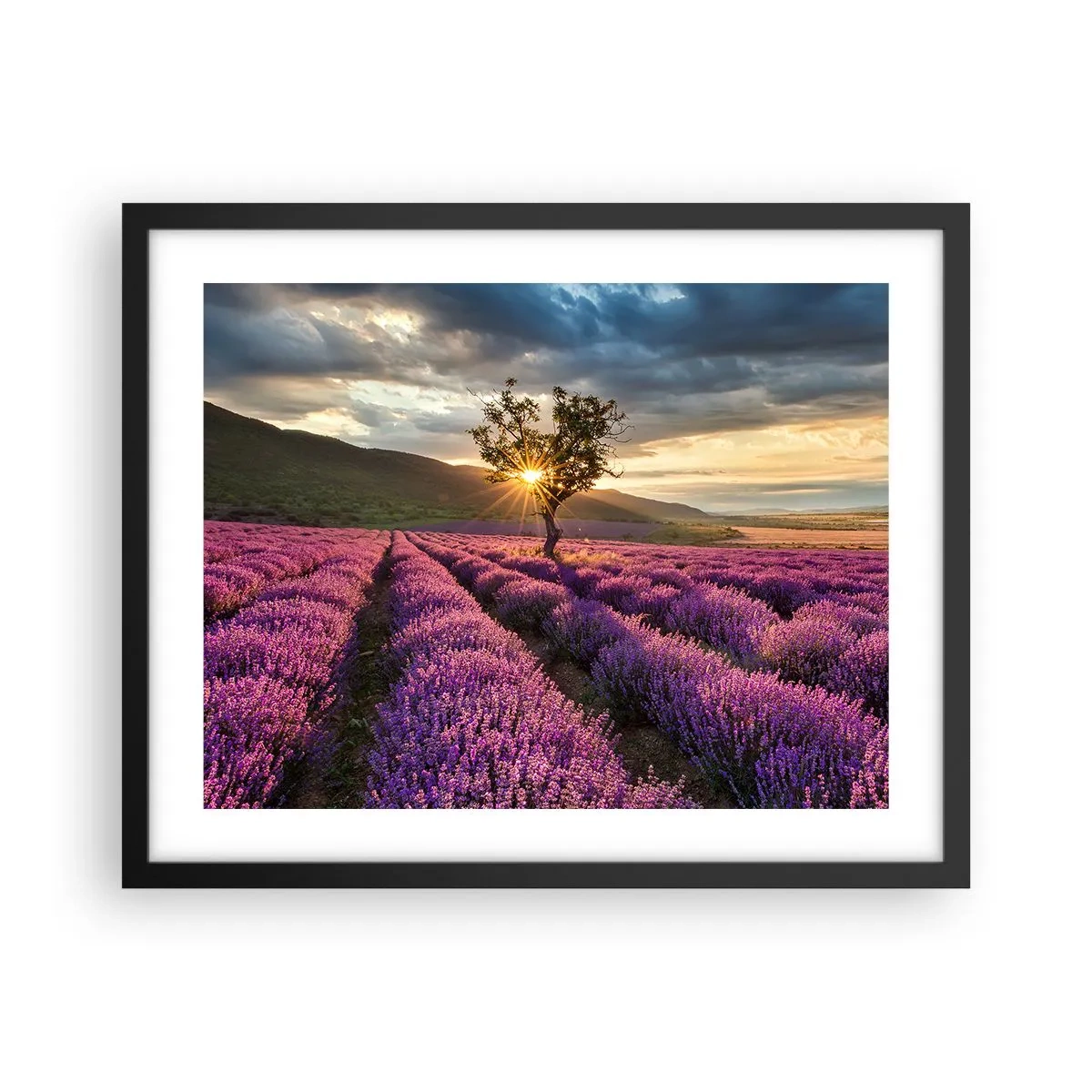 Poster in een zwarte lijst - Lila gekleurd aroma - 50x40 cm