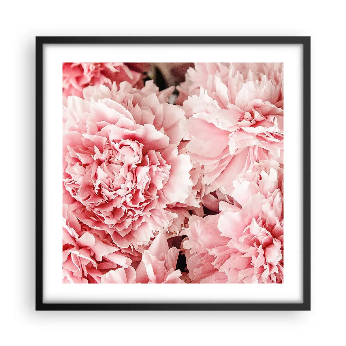 Poster in een zwarte lijst - Roze droom - 50x50 cm