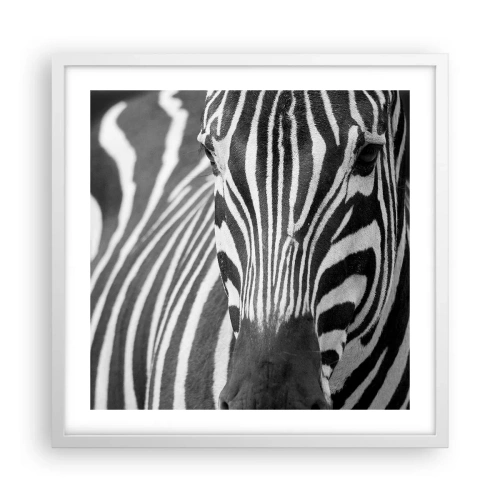 Poster in een witte lijst - De wereld is zwart-wit - 50x50 cm