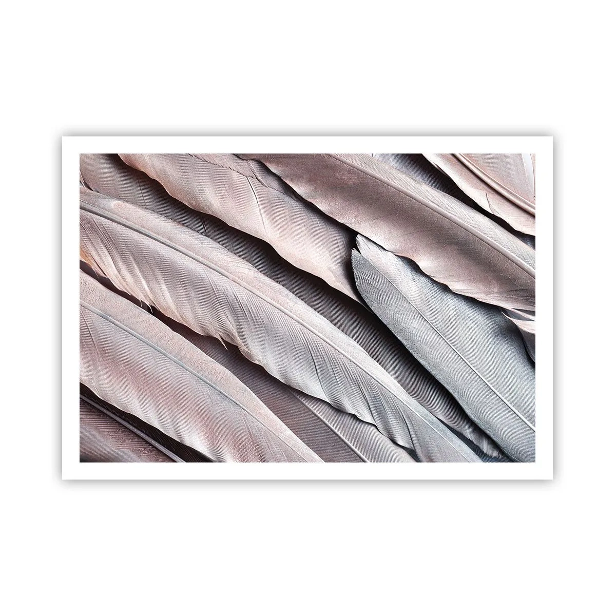 Poster - In roze zilver - 100x70 cm