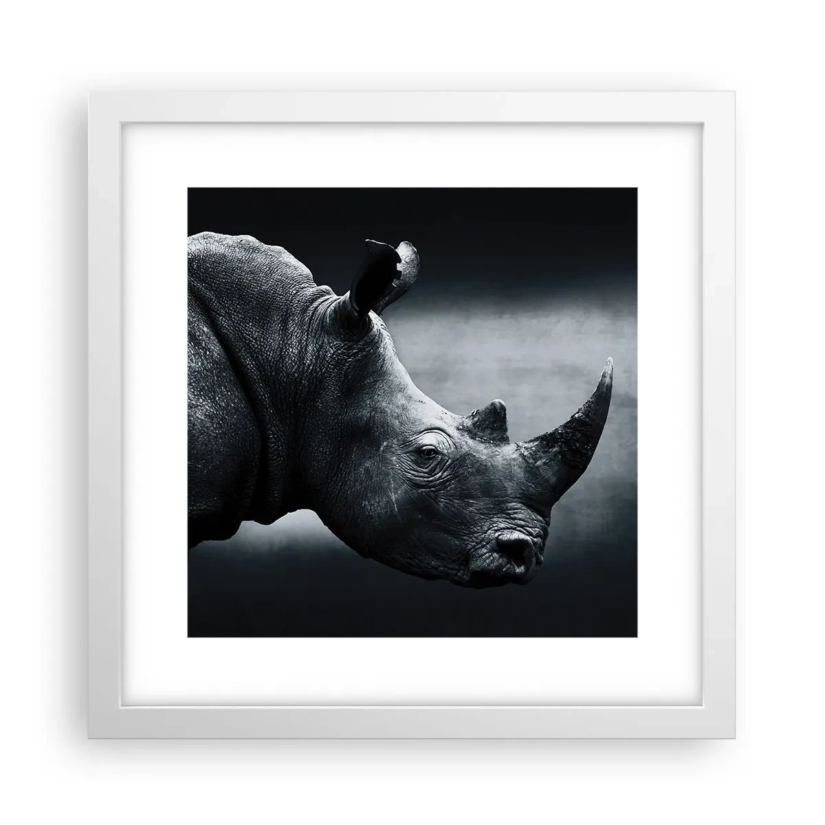 Poster in een witte lijst - Rechts profiel - 30x30 cm