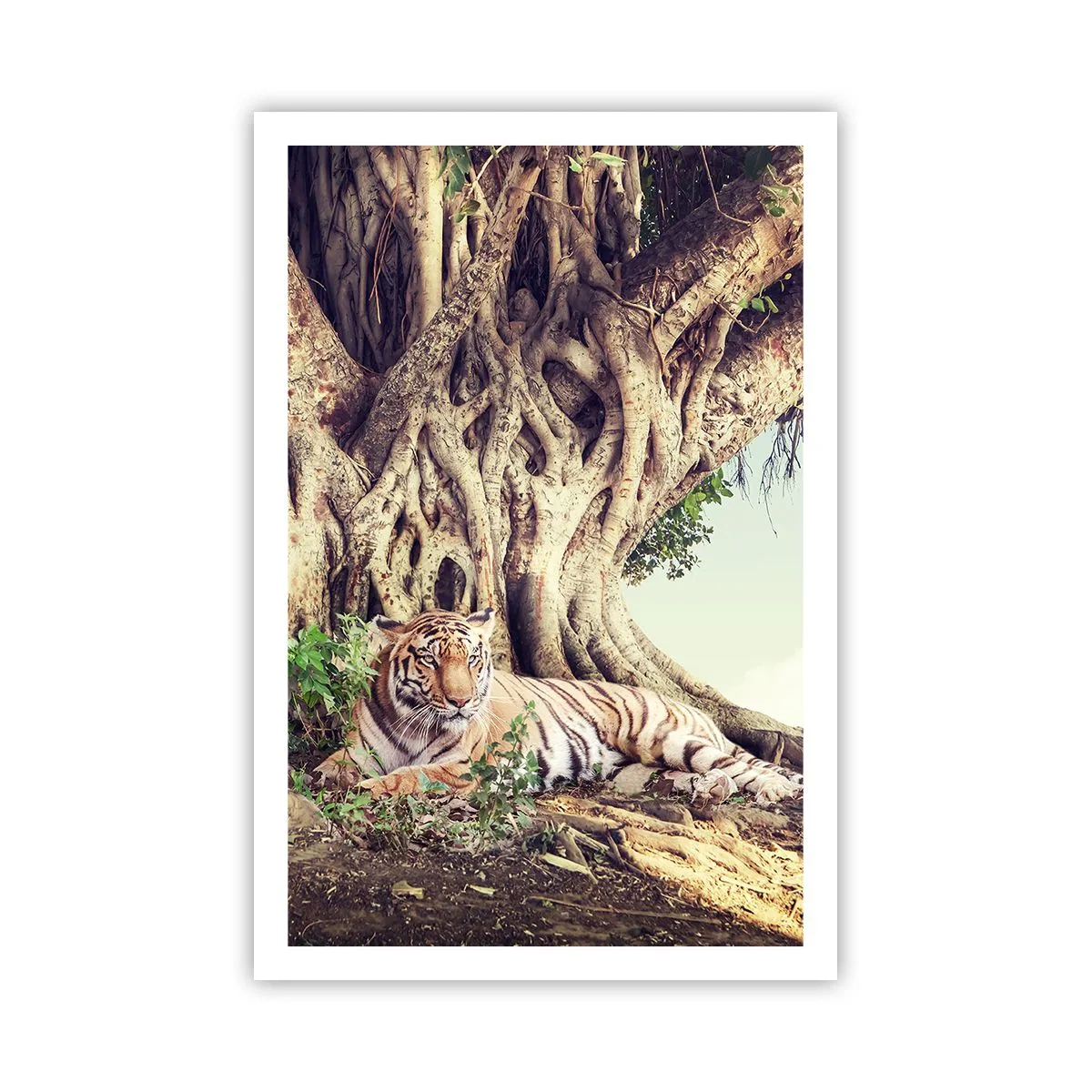 Poster - Uitzicht vanuit het boek Genesis - 61x91 cm