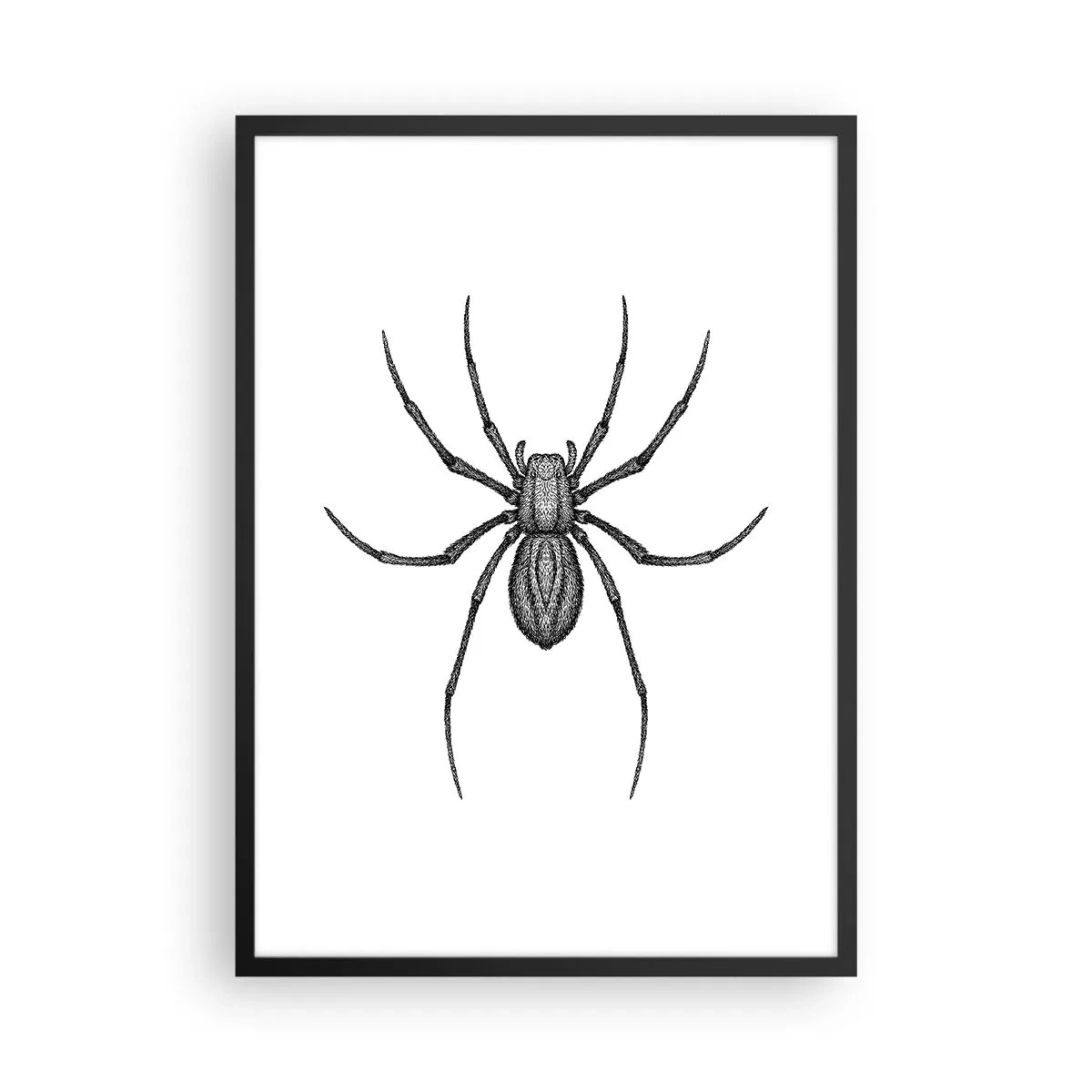 Poster in een zwarte lijst - Gedetailleerde illustratie van een spin op een witte achtergrond - 50x70cm - Verontrustende precisie - Moderne wanddecoratie voor woonkamer en slaapkamer ARTTOR
