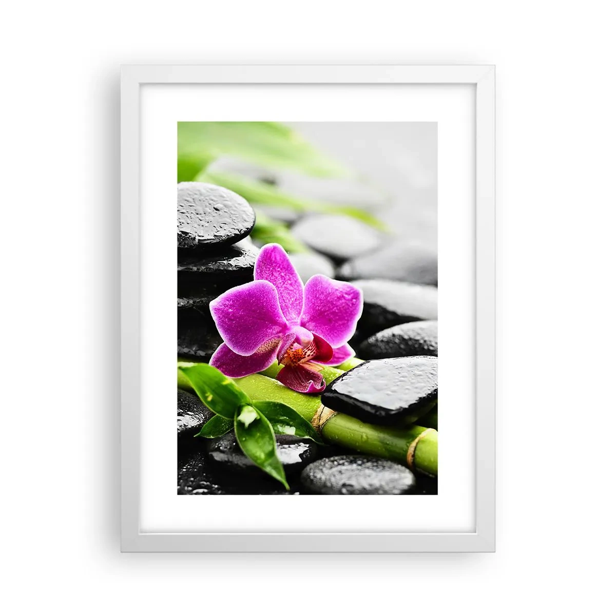 Poster in een witte lijst - In een vrede evenwicht - 30x40 cm