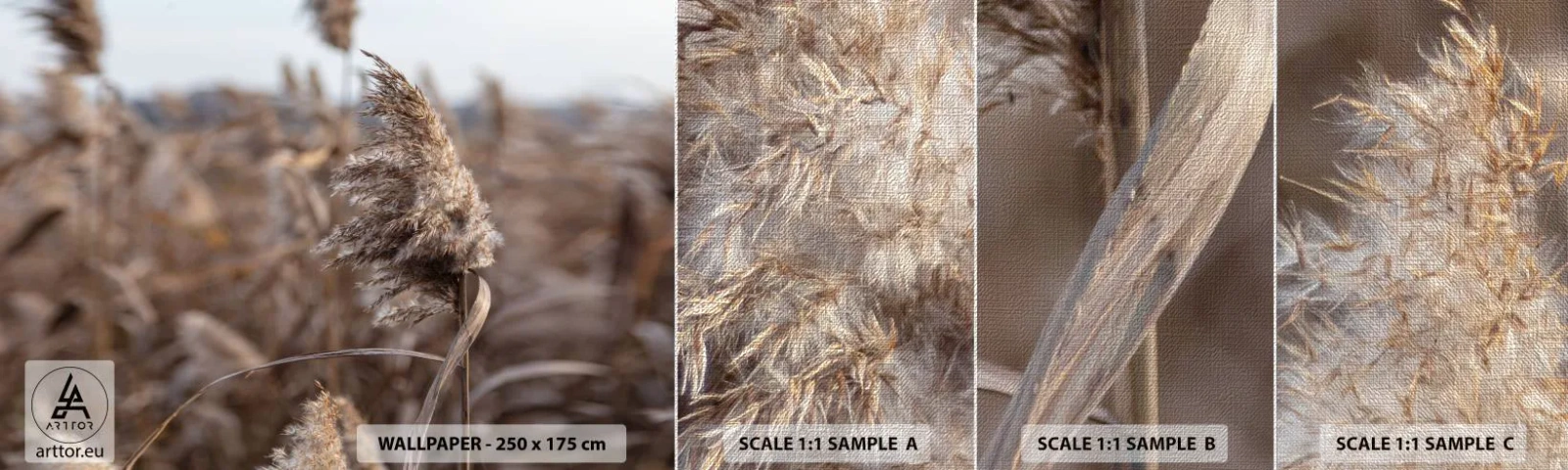 Fotobehang Monster Premium Canvas - Tijd om met de wind mee te gaan - Wei, Pampagras, Natuur - 100x30 cm