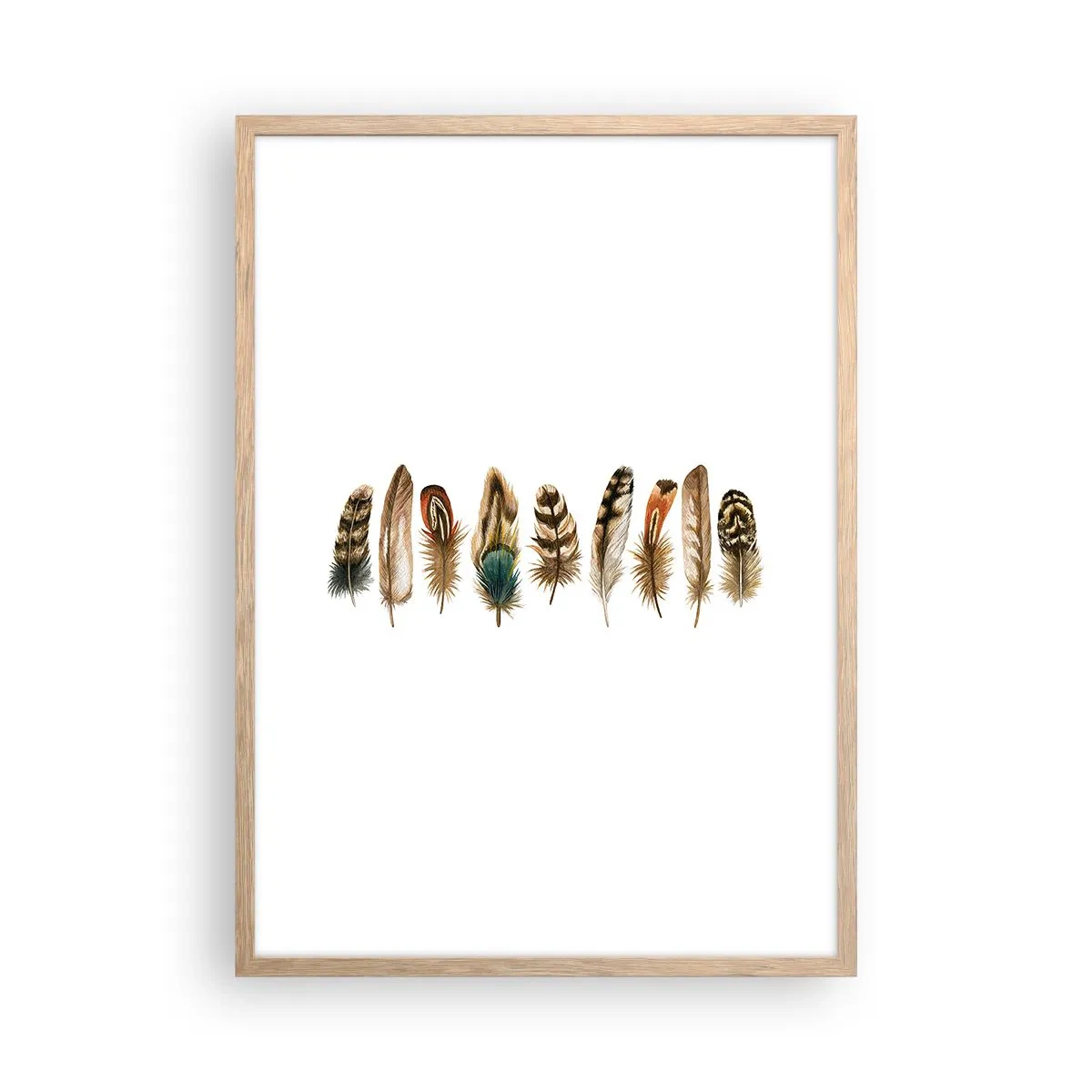 Een poster in een licht eiken lijst - Een gevederde variatie - 50x70 cm