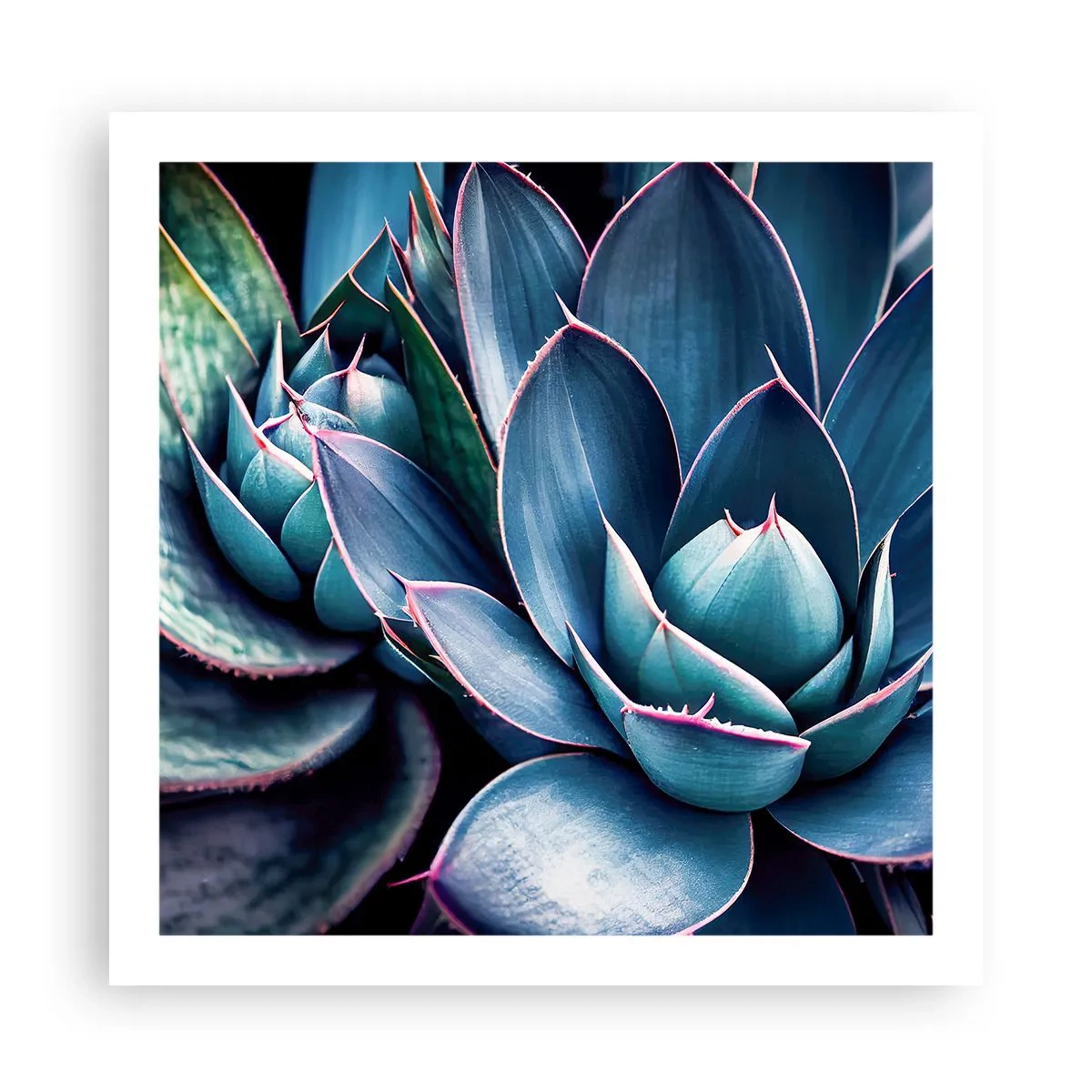 Poster - Levenskracht - 60x60 cm