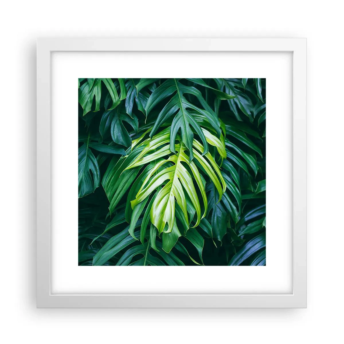 Poster in een witte lijst - Dompel jezelf onder in de frisheid - 30x30 cm