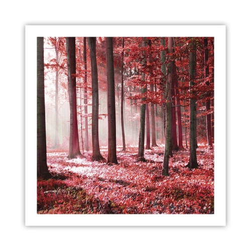 Poster - Rood is net zo mooi - 60x60 cm