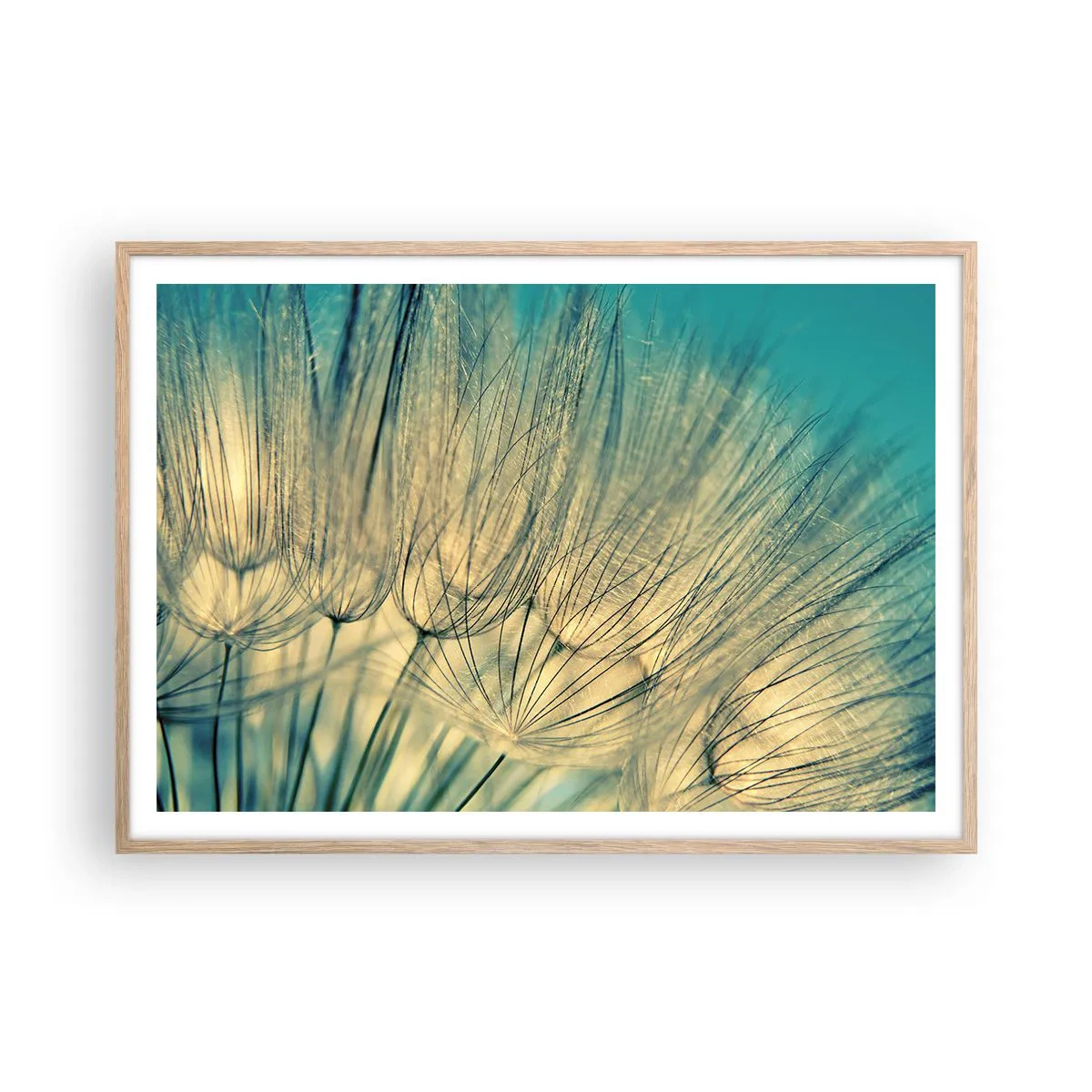 Een poster in een licht eiken lijst - In afwachting van de wind - 100x70 cm