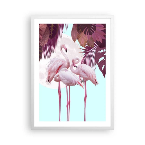 Poster in een witte lijst - Drie vogel genaden - 50x70 cm