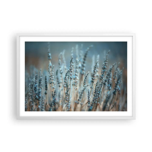 Poster in een witte lijst - Geurig korenveld - 70x50 cm