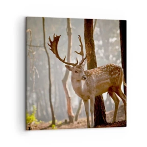 Schilderen op canvas - Het licht van de jeugd - 50x50 cm