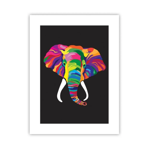Poster - De olifant die ervan hield om in de regenboog te baden - 30x40 cm