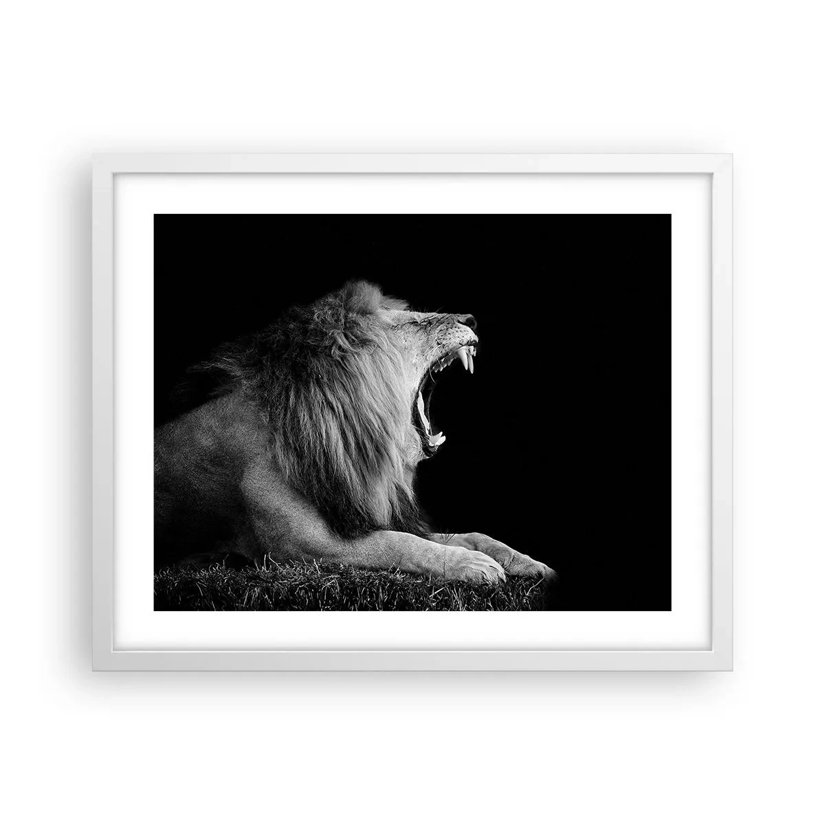 Poster in een witte lijst - Zonder enige twijfel - 50x40 cm