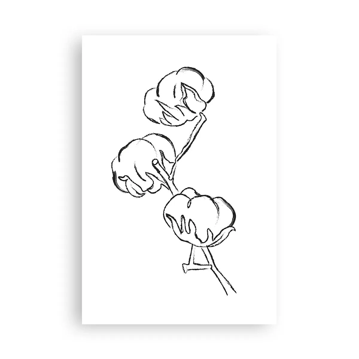 Poster - Katoen dons - 61x91 cm