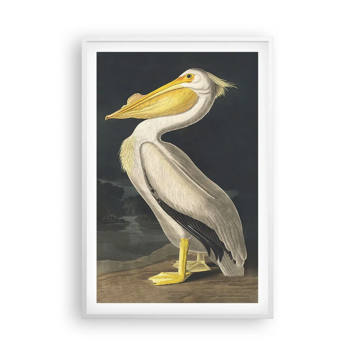 Poster in een witte lijst - Vol trots - 61x91 cm