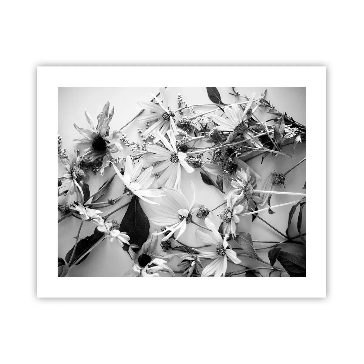 Poster - Niet-boeket bloemen - 50x40 cm
