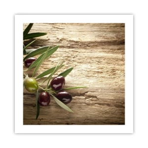 Poster - Rechtstreeks uit de natuur - 50x50 cm