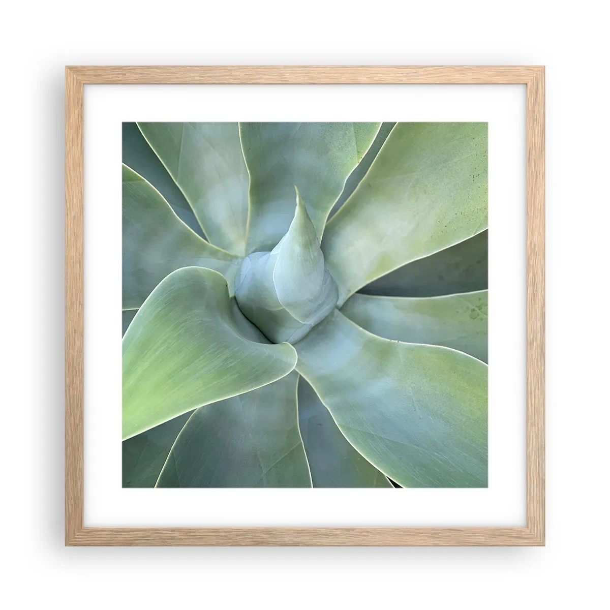 Een poster in een licht eiken lijst - De geboorte van groen - 40x40 cm