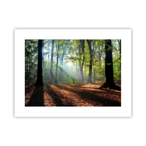 Poster - Lichten en schaduwen - 40x30 cm