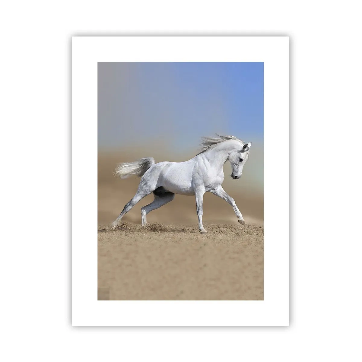 Poster - Het mooiste Arabische sprookje - 30x40 cm