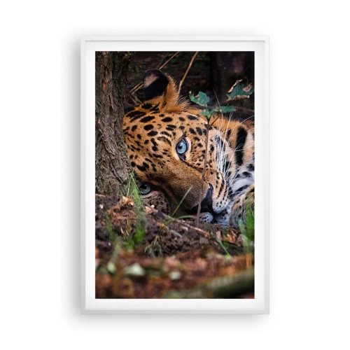 Poster in een witte lijst - Geloof me - 61x91 cm