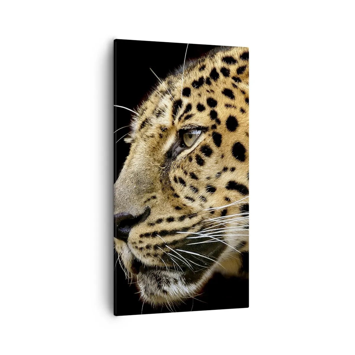 Schilderen op canvas - Rustig, gefocust, klaar - 55x100 cm