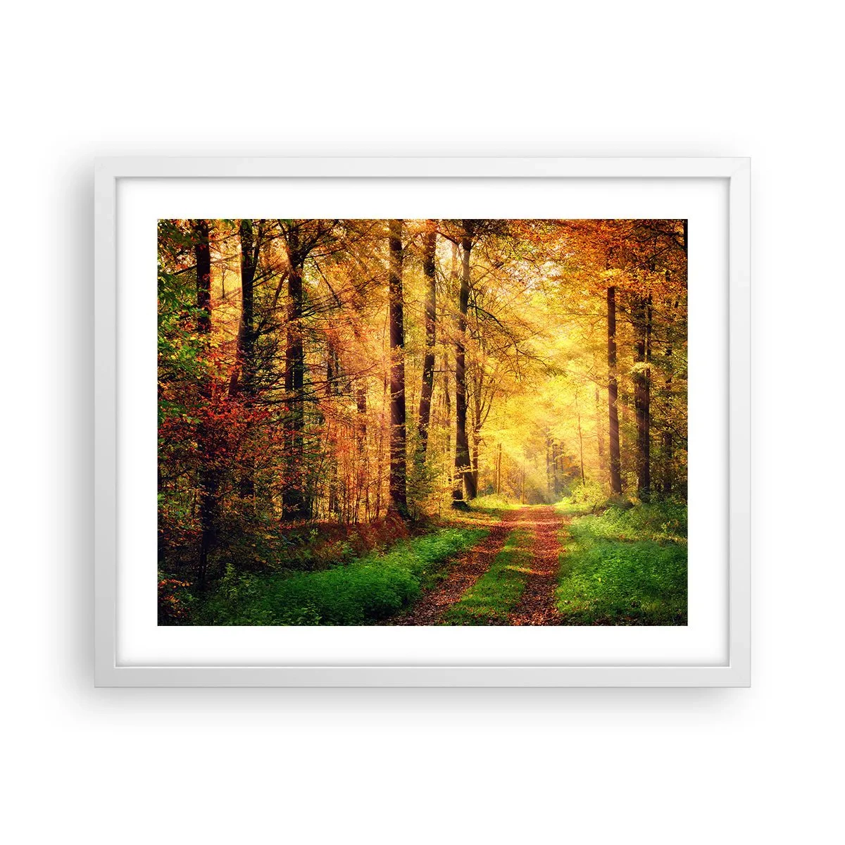 Poster in een witte lijst - Bos-gouden stilte - 50x40 cm