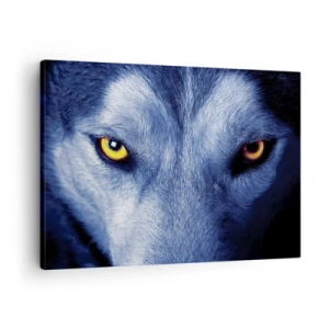 Schilderen op canvas - Close-up van de intense blik van een wolf tegen een donkere achtergrond - 70x50cm - Betoverende look - Moderne wanddecoratie voor woonkamer en slaapkamer ARTTOR