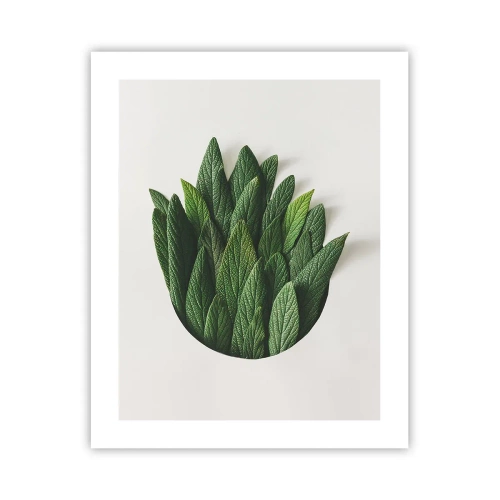 Poster - Ongebreidelde nieuwsgierigheid - 40x50 cm