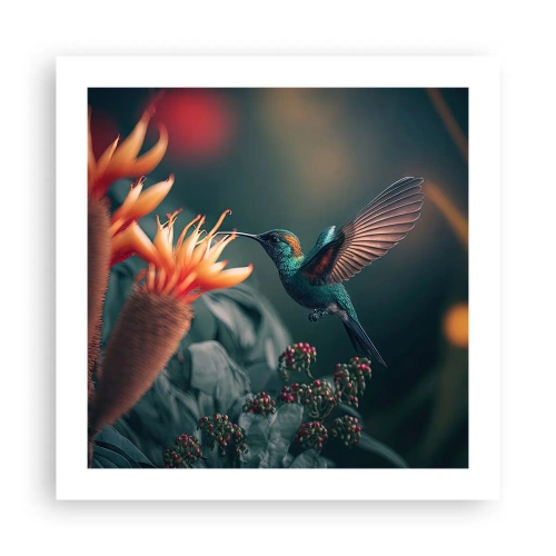 Poster - een werkelijk kleurrijk leven - 50x50 cm
