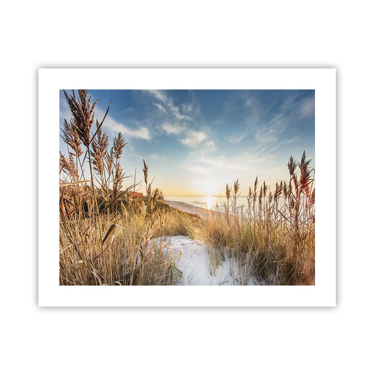 Poster - Noord strand - 50x40 cm