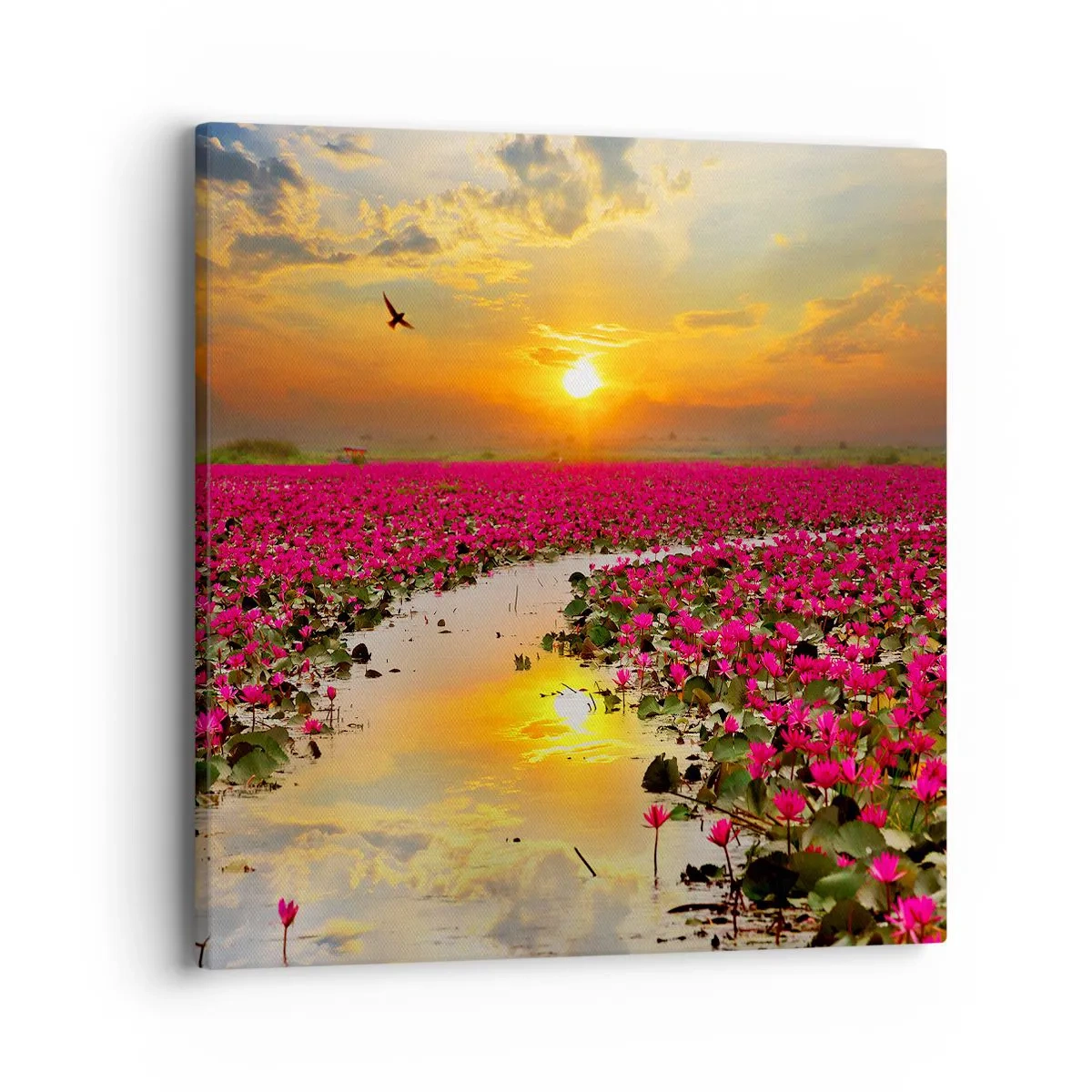 Schilderen op canvas - Het geheime leven van het meer - 40x40 cm