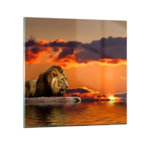 Schilderen op glas - Koning van de natuur - 50x50 cm
