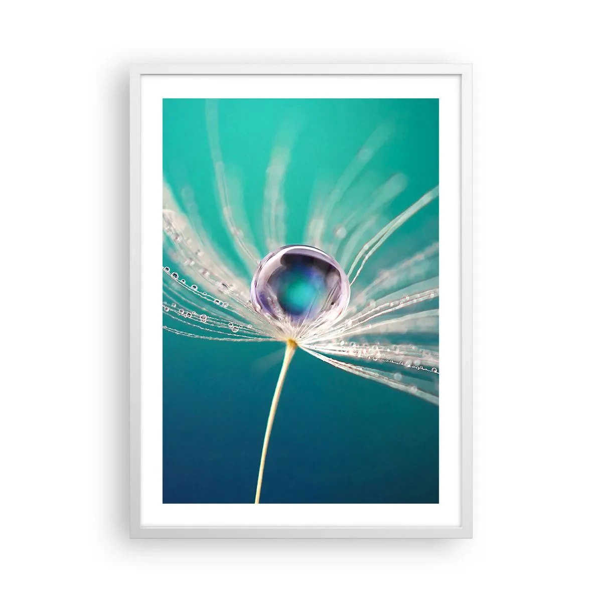 Poster in een witte lijst - Mystiek moment - 50x70 cm