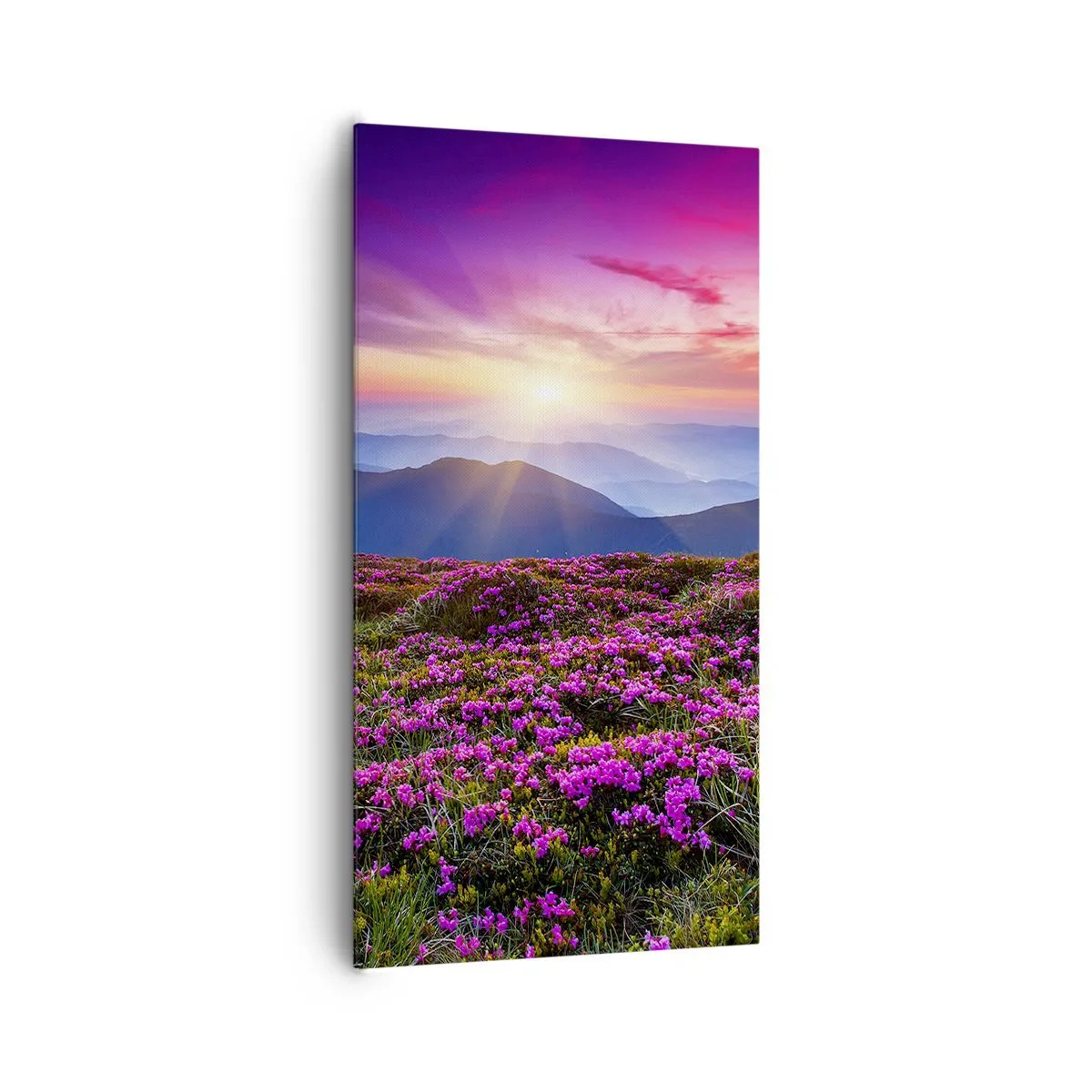 Schilderen op canvas - Kruiden roken naar verse trossen van de velden - 65x120 cm