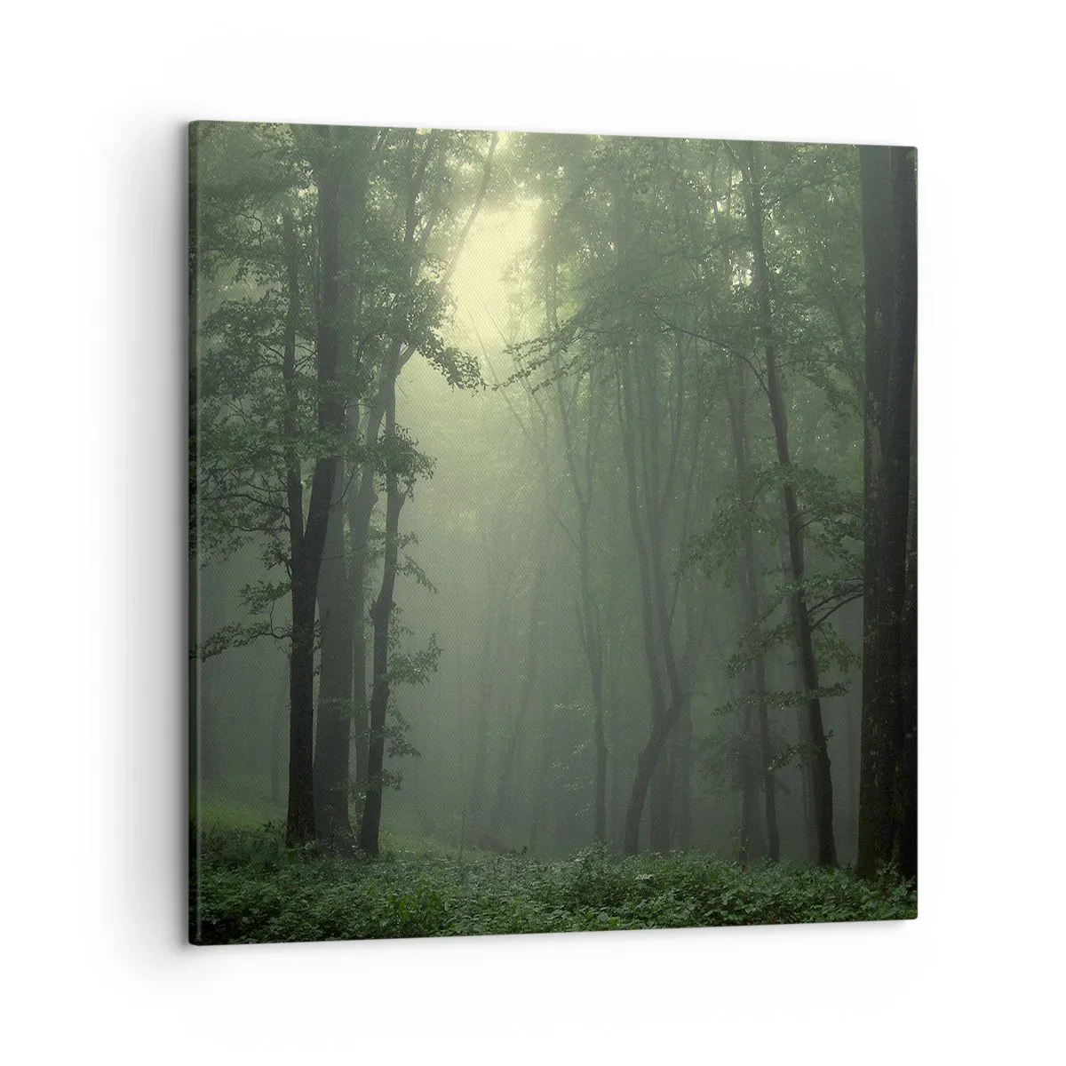 Schilderen op canvas - Voordat hij wakker wordt - 50x50 cm